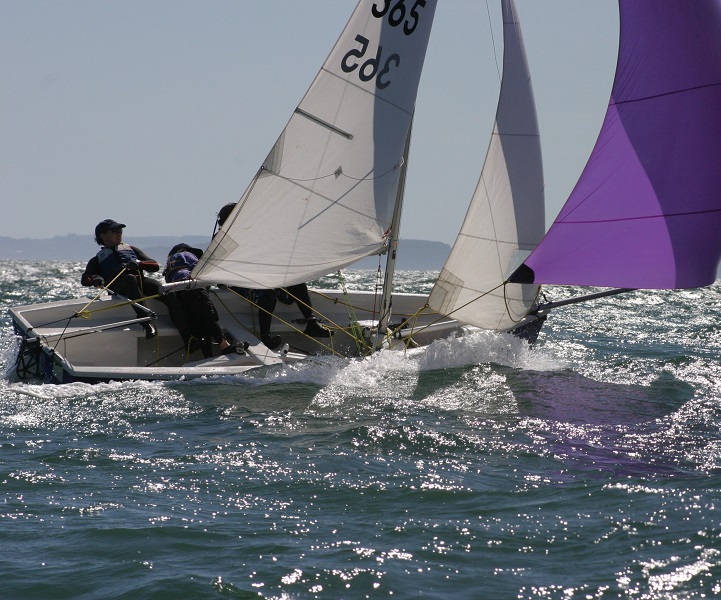 a sportsboat with white and purple sails racing on the water